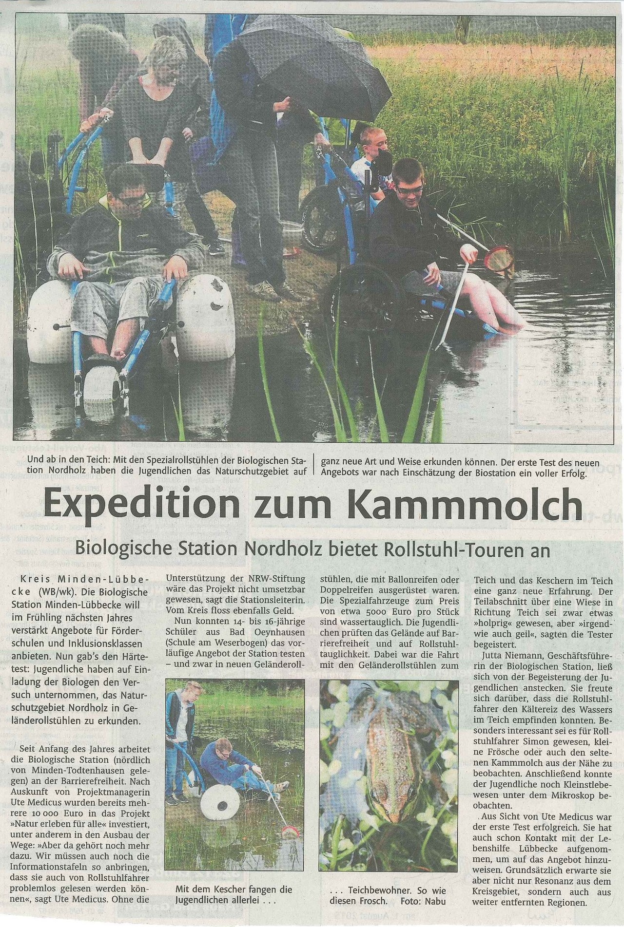 Expedition zum Kammmolch